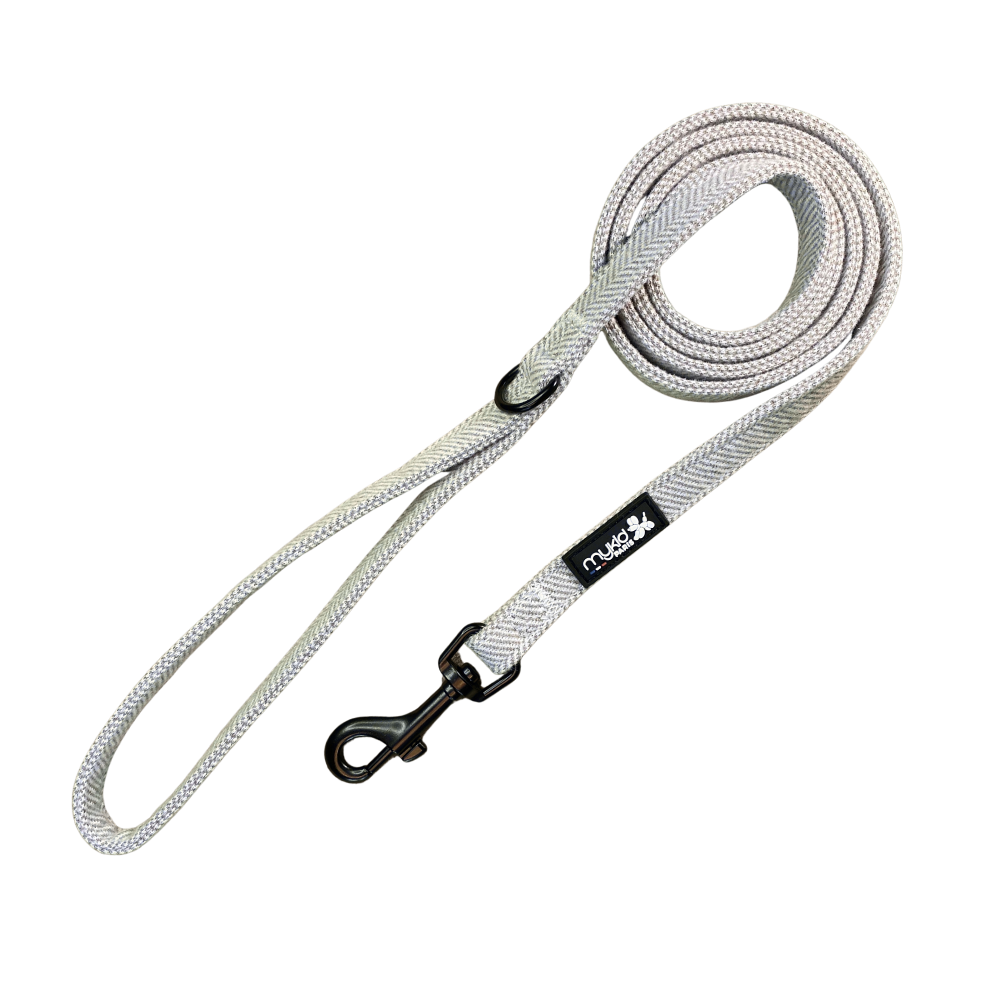 laisse en tweed sable cendré Collection Marcel pour chien – Mykid Paris