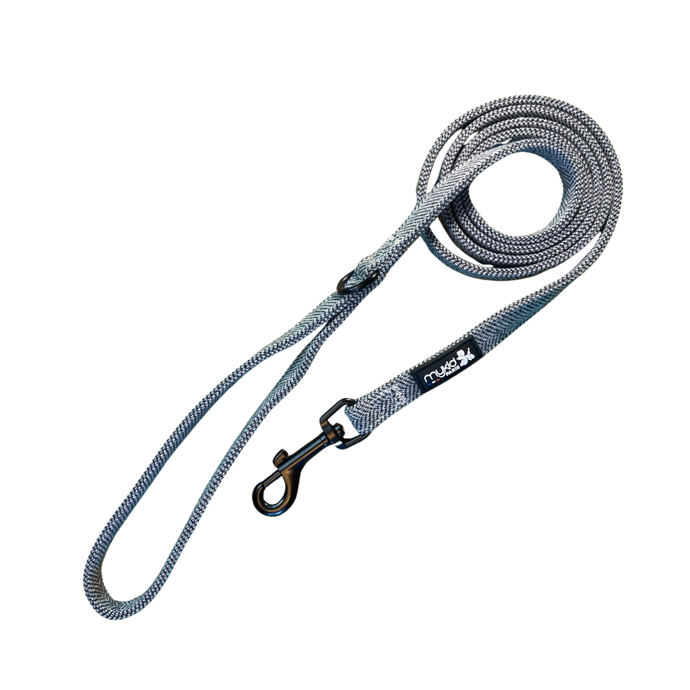 Laisse en tweed gris anthracite Collection Gaspard pour chien – Mykid Paris