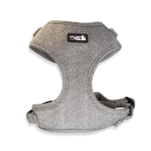 Harnais en tweed gris anthracite Collection Gaspard pour chien – Mykid Paris
